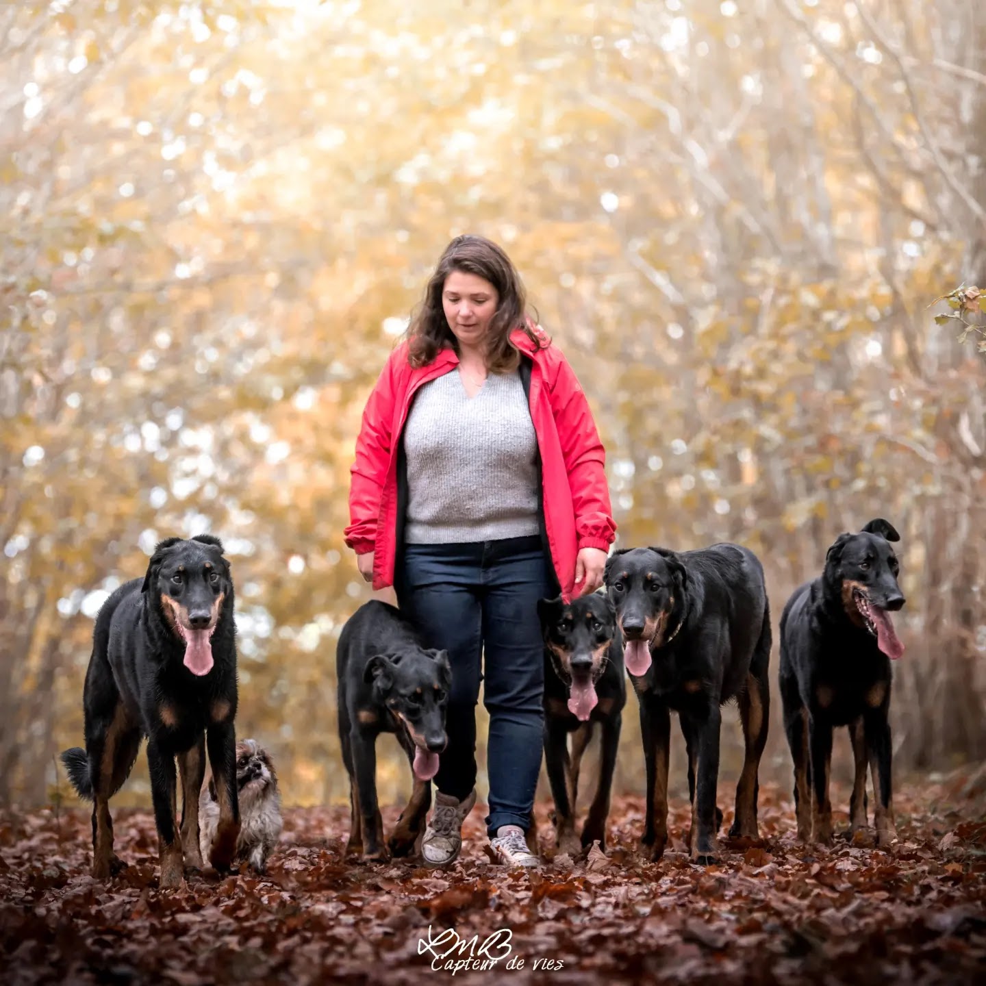 Wendywalkingdog — photo