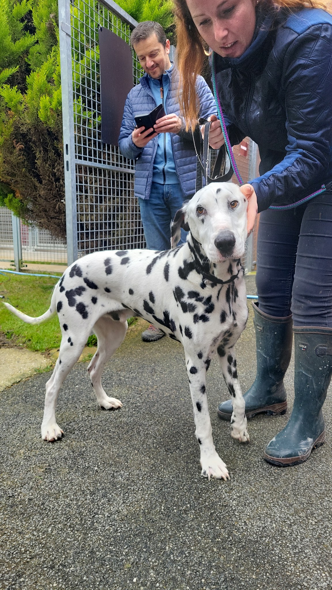 LOEN - Educateur canin - comportementaliste-pension-pet sitter — photo