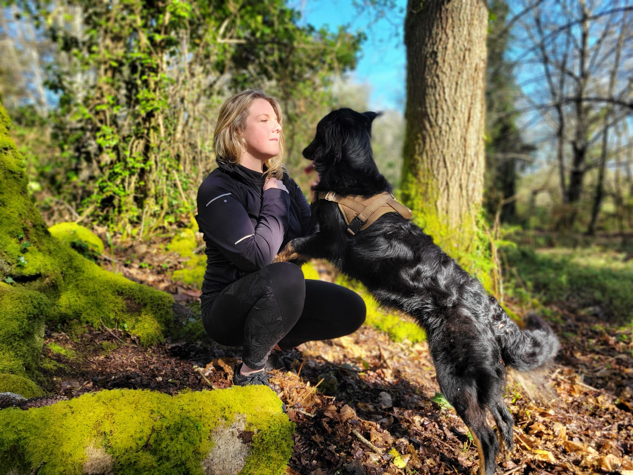LOEN - Educateur canin - comportementaliste-pension-pet sitter