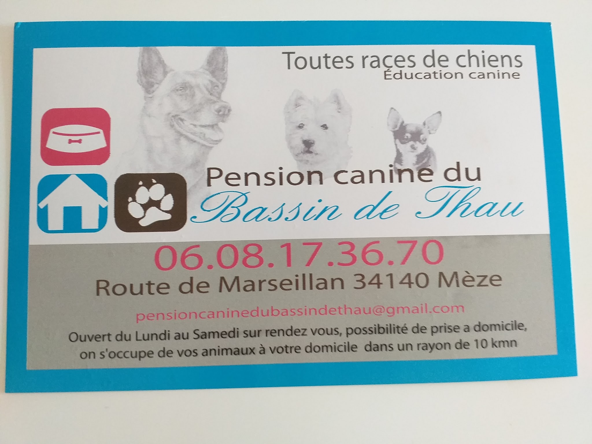 Pension Canine du Bassin de Thau éducation en cours particulier — photo