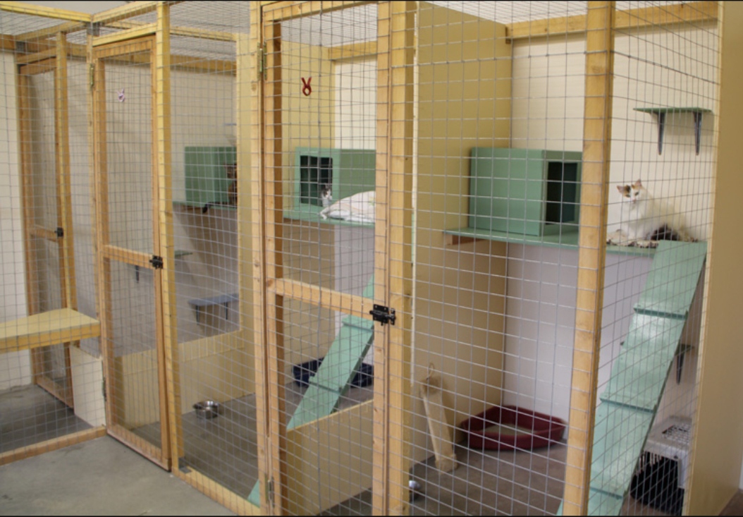 Elevage Pension des Bayannes — photo