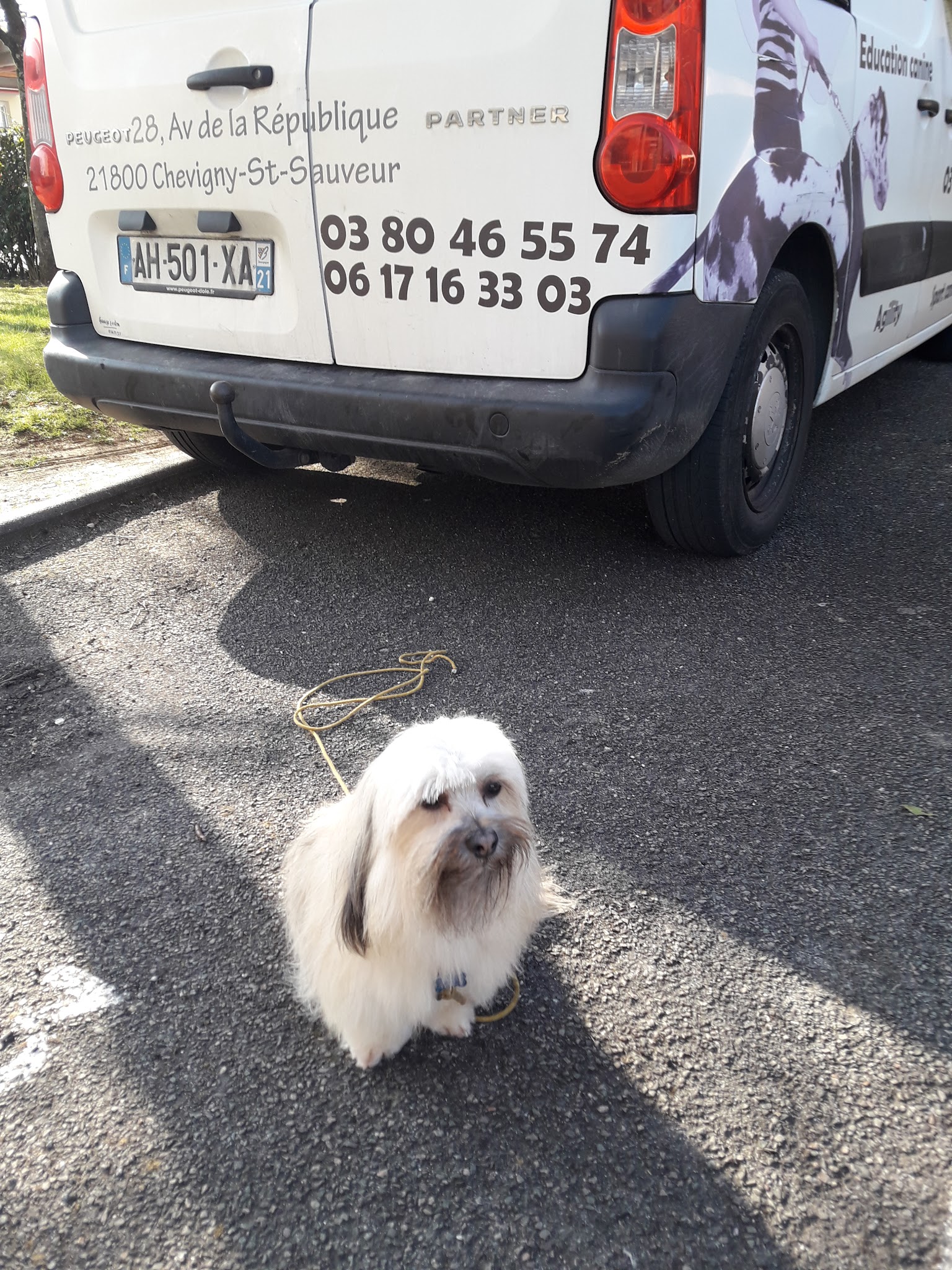 Sarl Espace Canin — photo