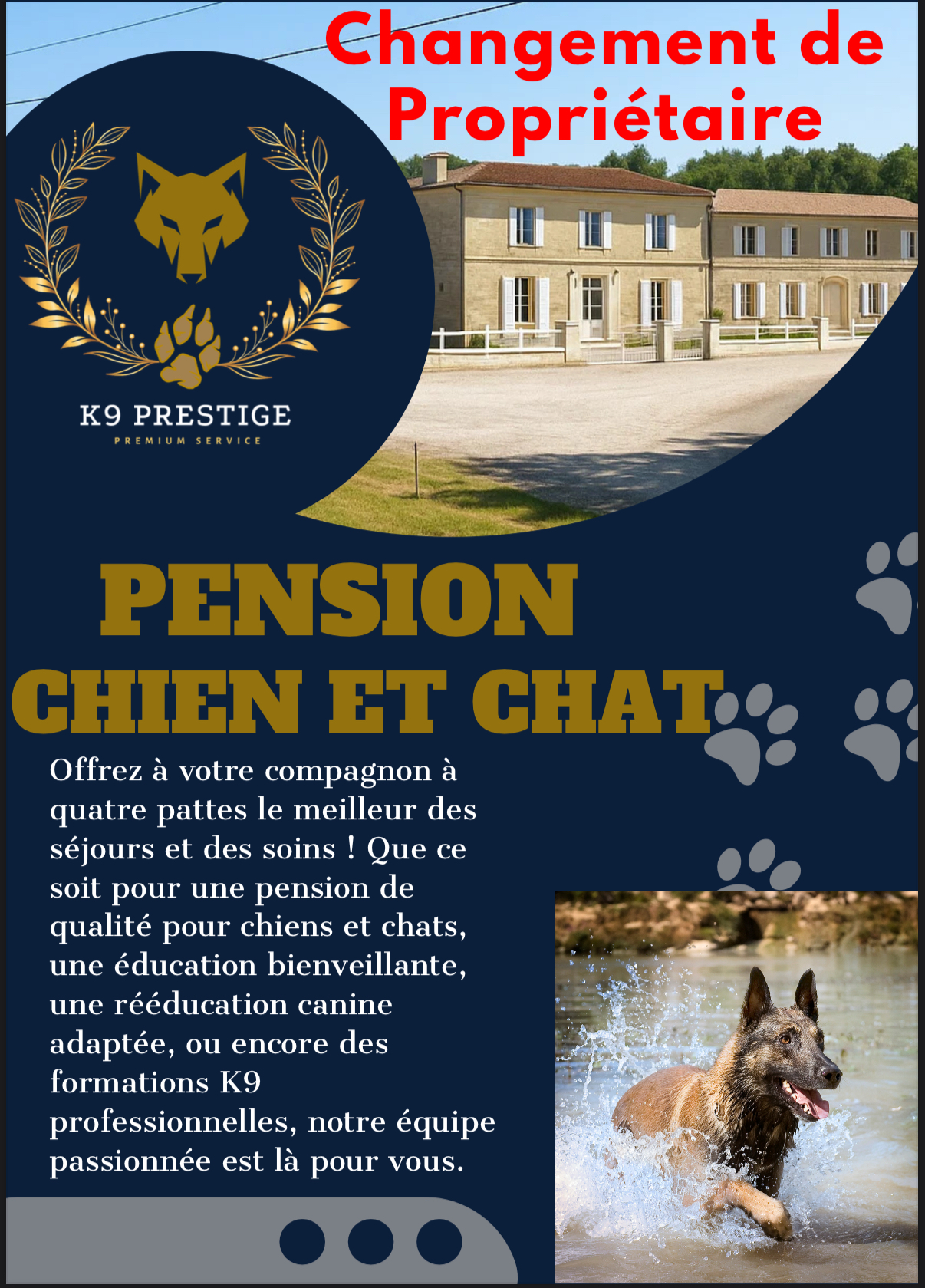 K9 Prestige — photo