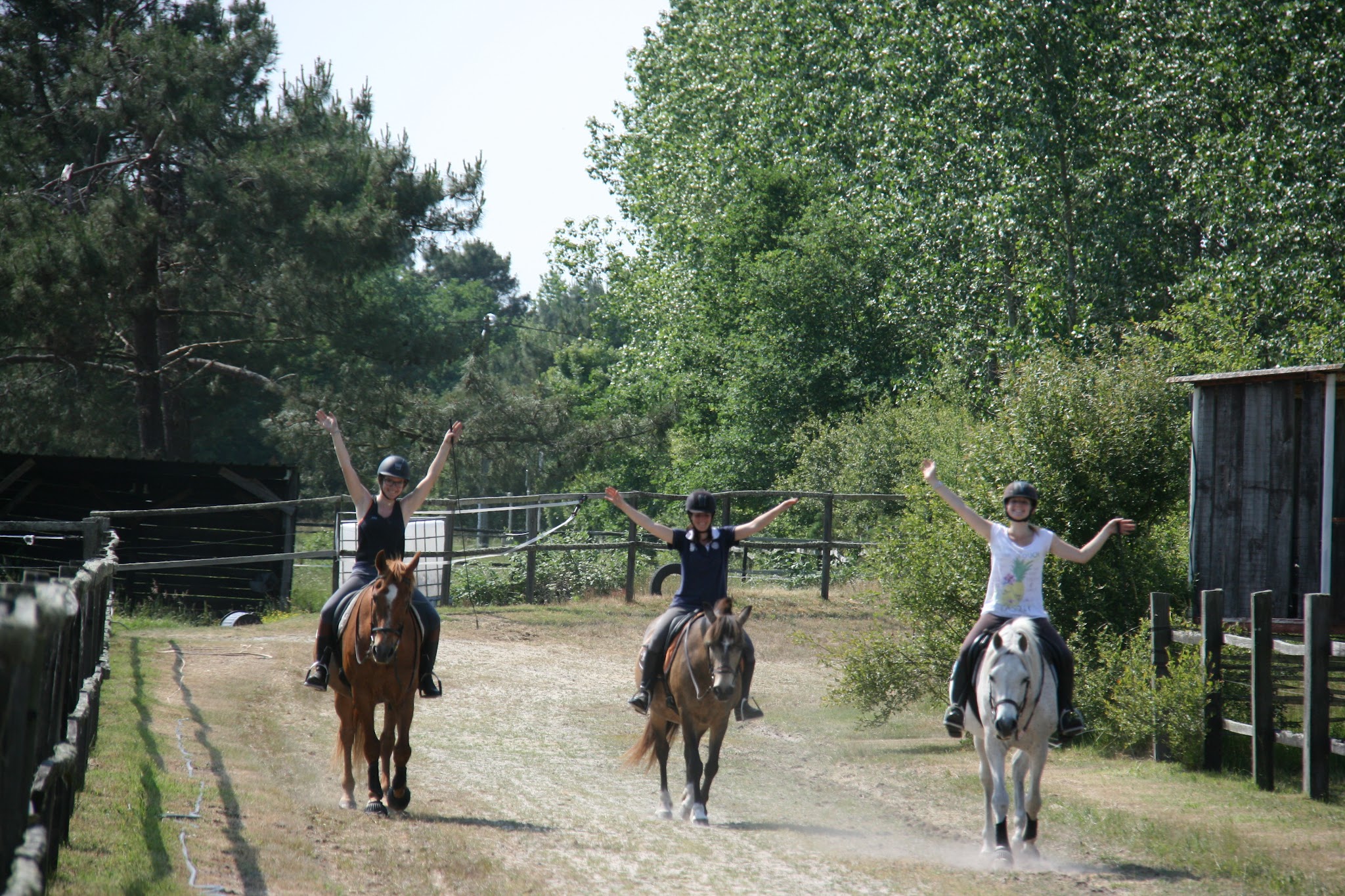 Haras de la fauconnerie — photo