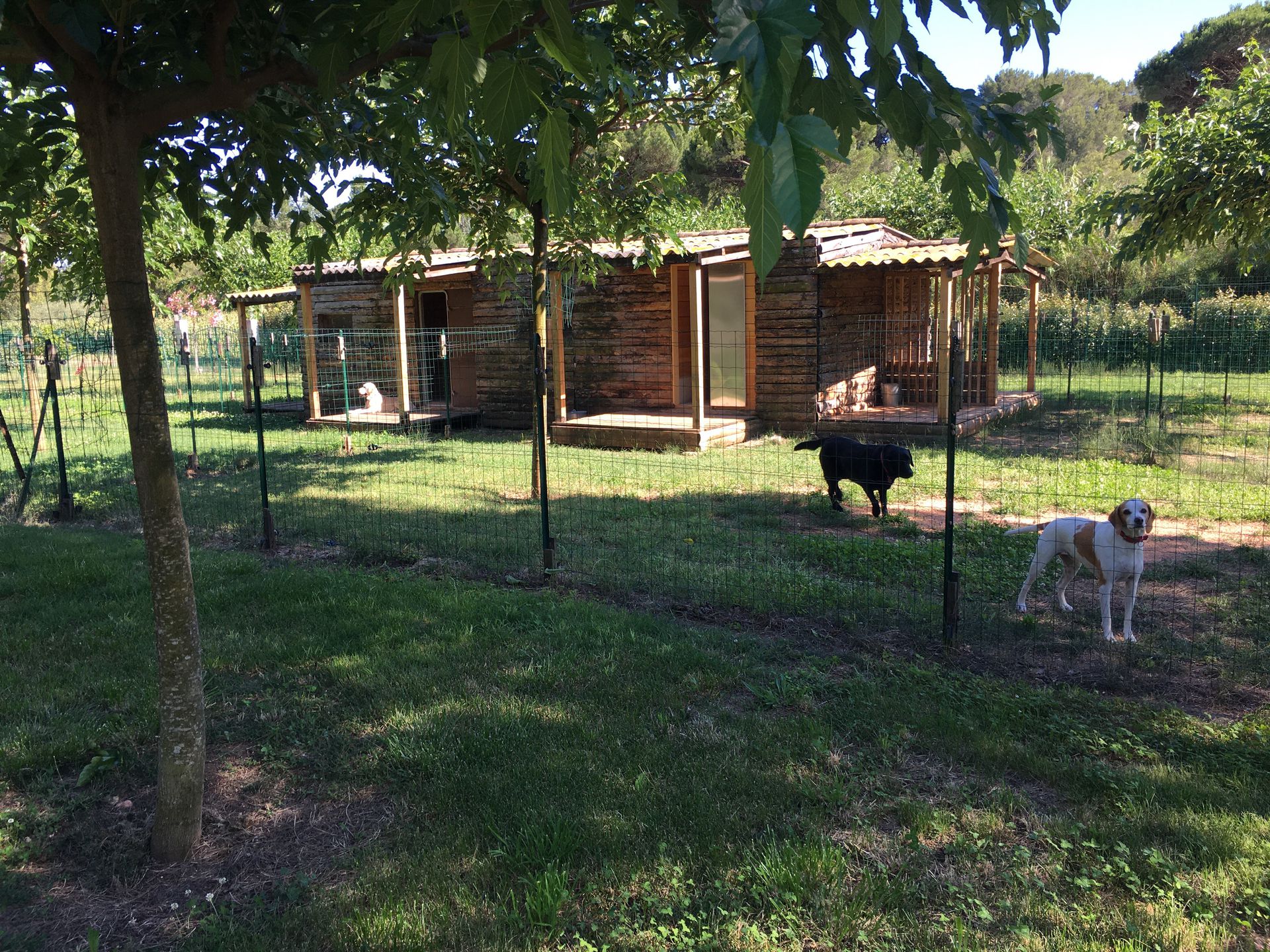 ITANA garde animaux — photo