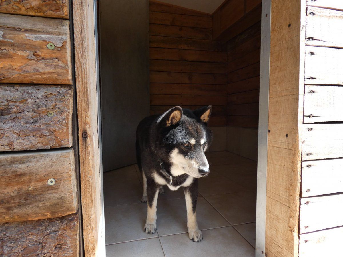 ITANA garde animaux — photo