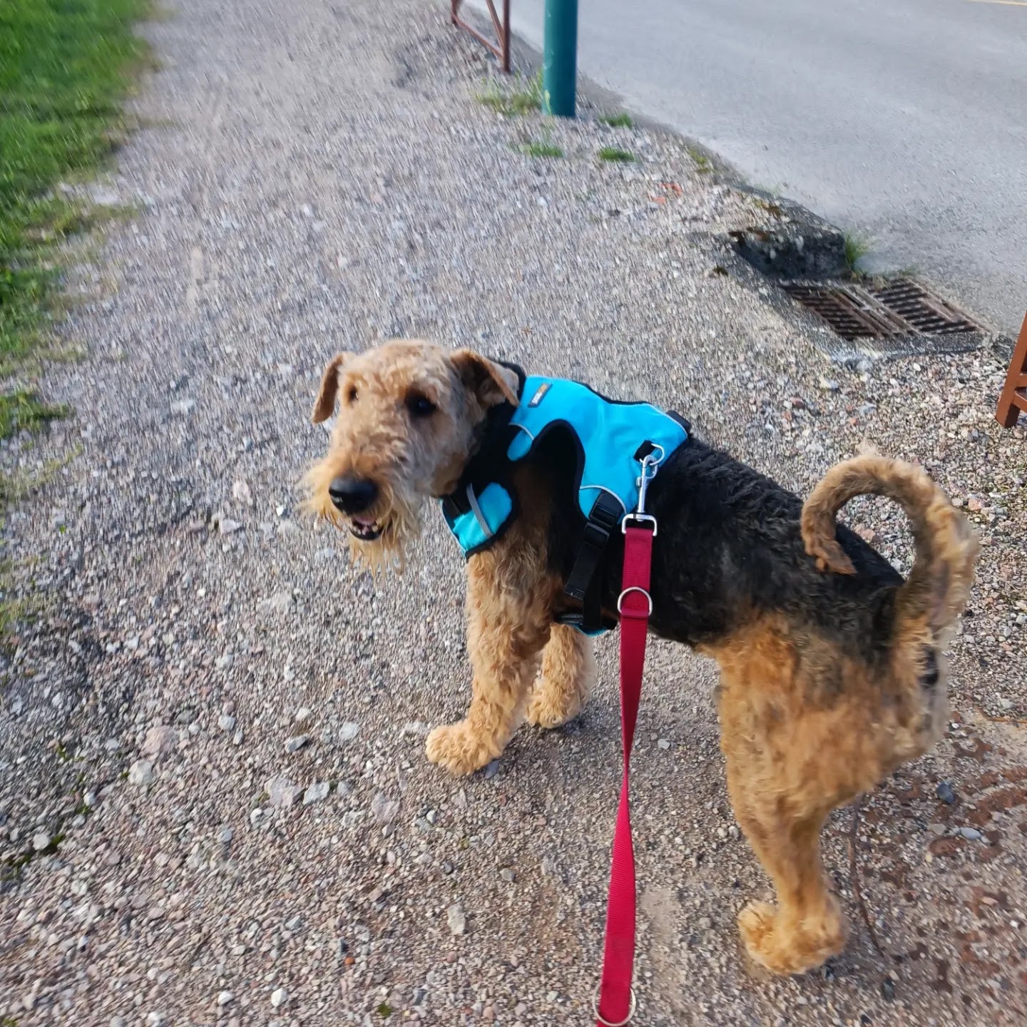 Tala Pet's World — photo