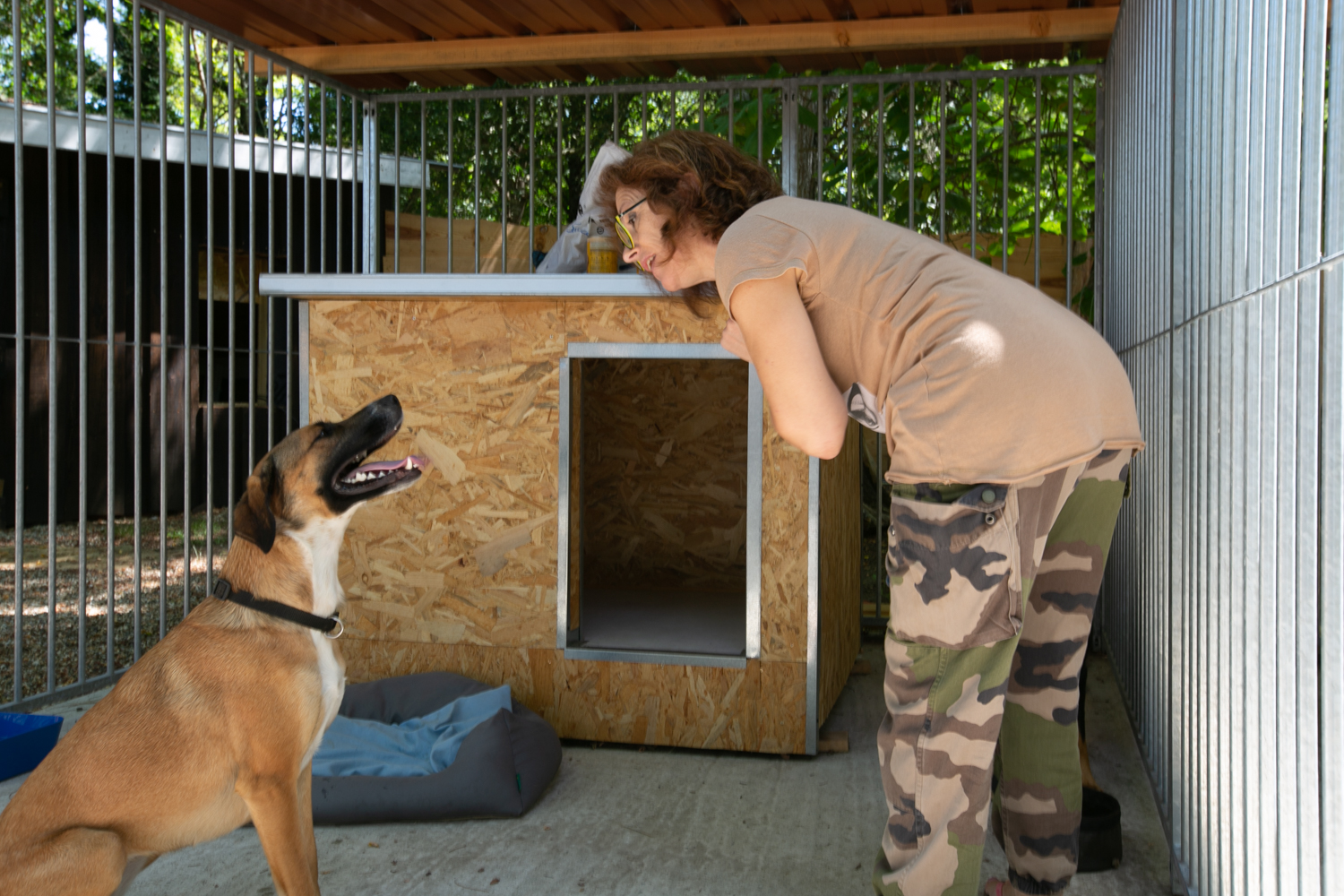 Pension Canine de Cameillac — photo