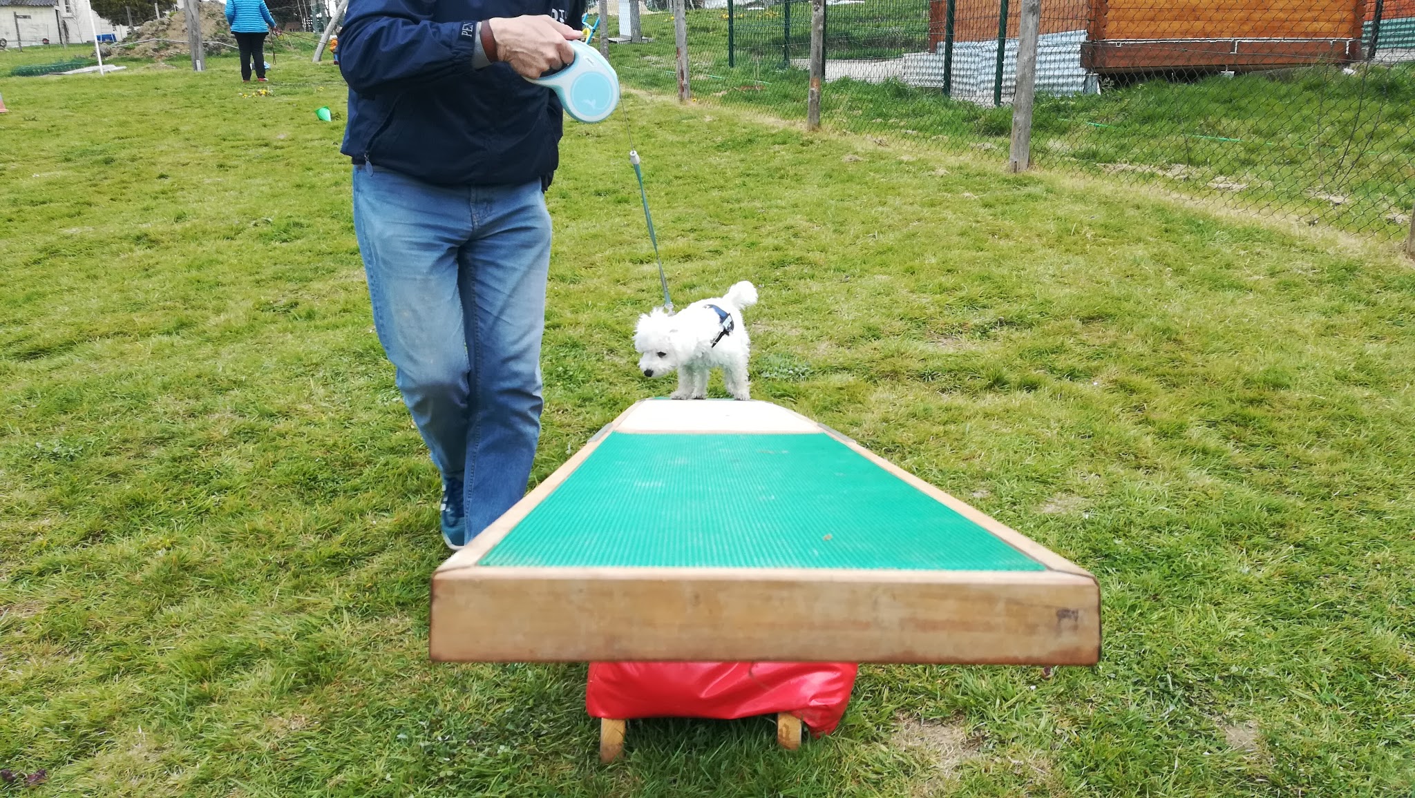 A la bonne patte — photo