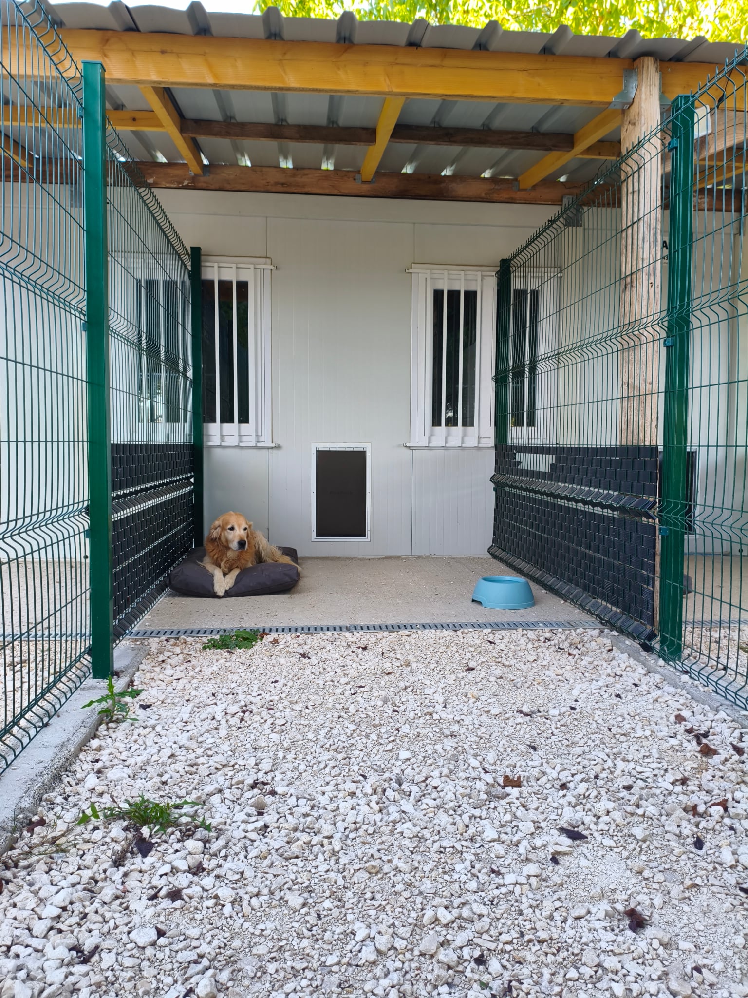 DOGVEL PENSION