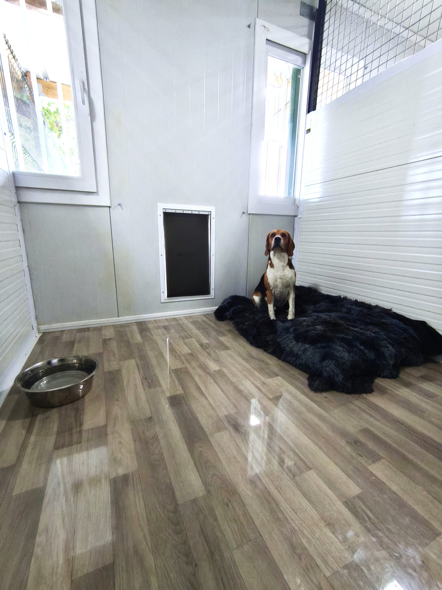 DOGVEL PENSION — photo