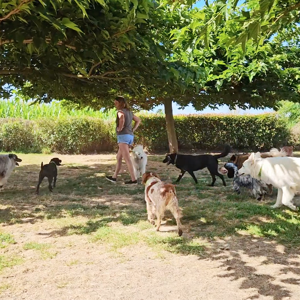 Le Domaine de Noisette — photo
