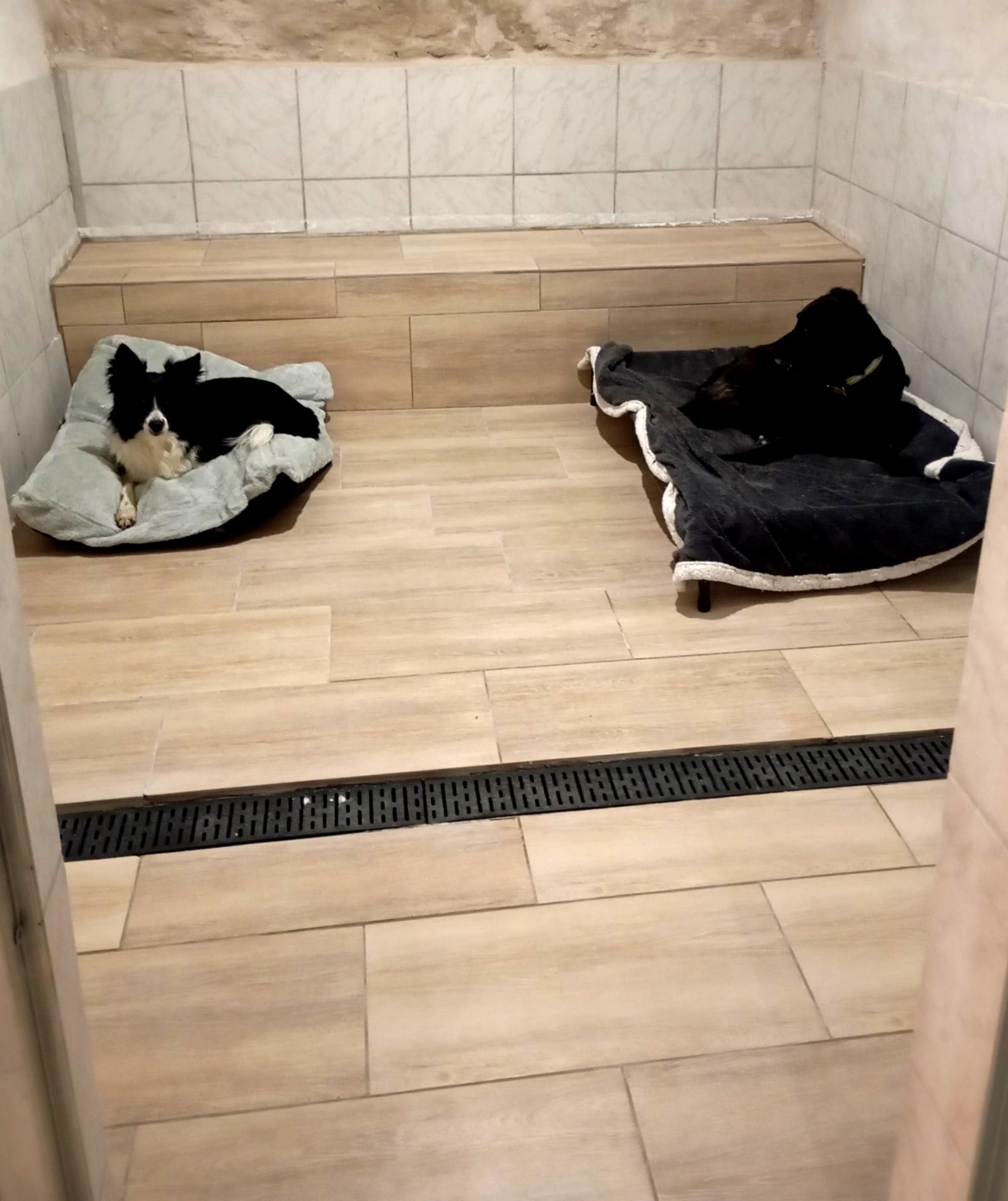 Dumont Canin – Éducateur canin, pension & garde de chiens à Astaffort - Lot-et-Garonne 47 — photo