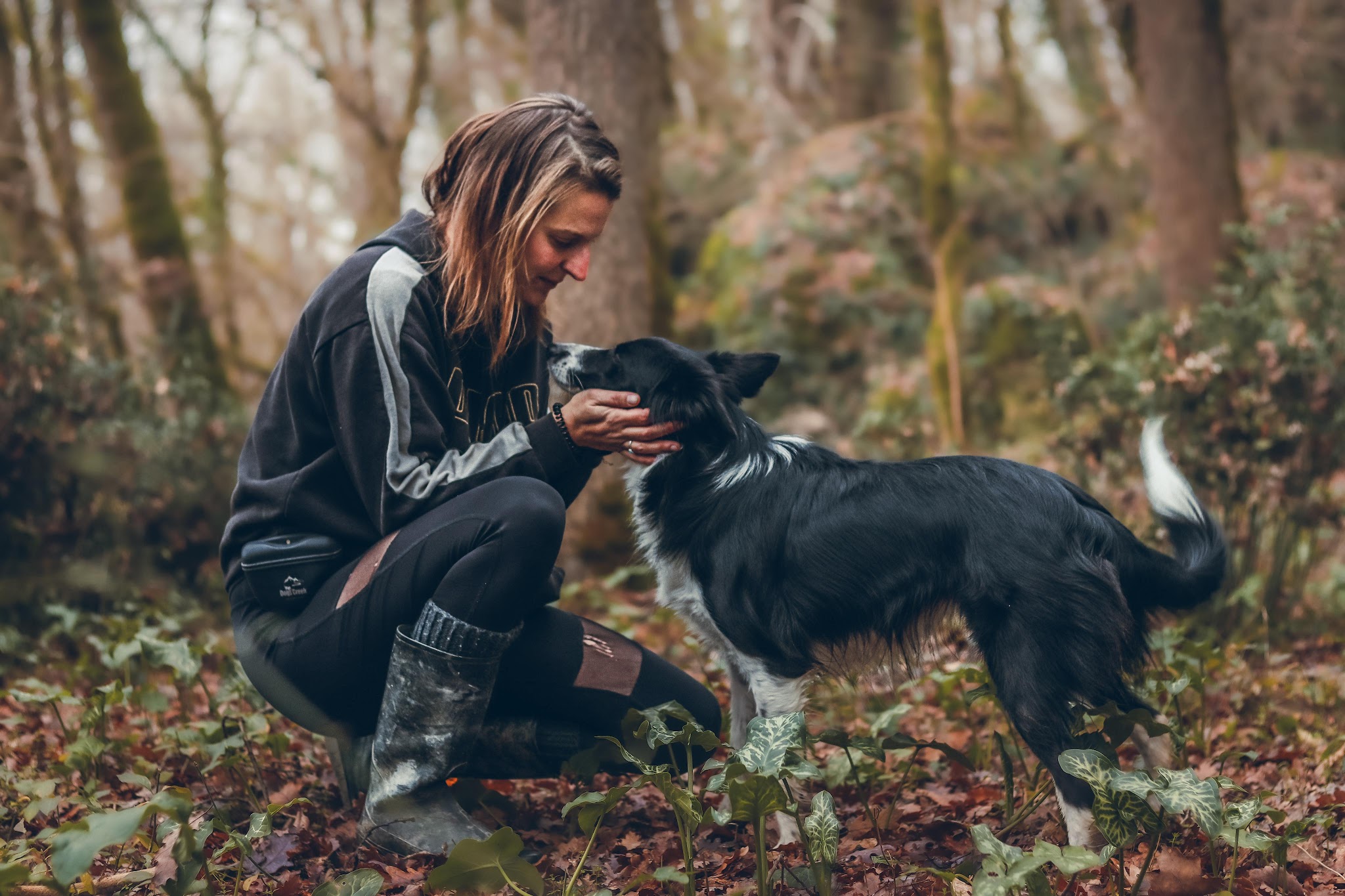 Dumont Canin – Éducateur canin, pension & garde de chiens à Astaffort - Lot-et-Garonne 47 — photo