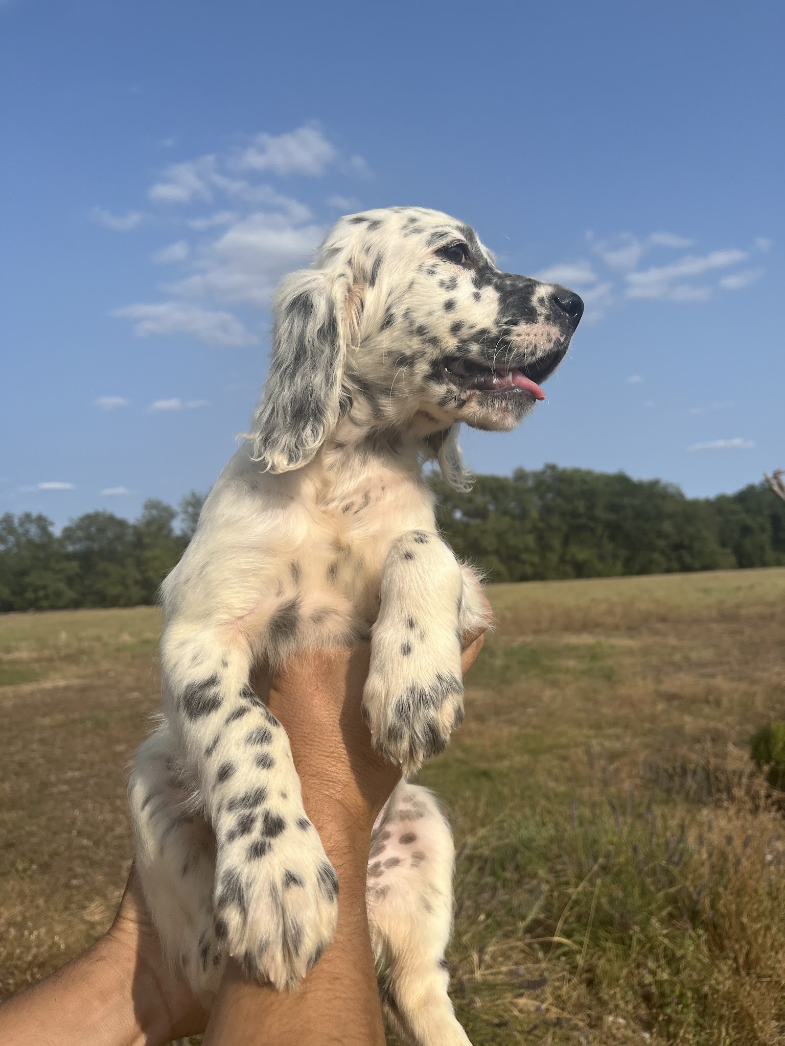 Centre canin du causse aux perdrix — photo