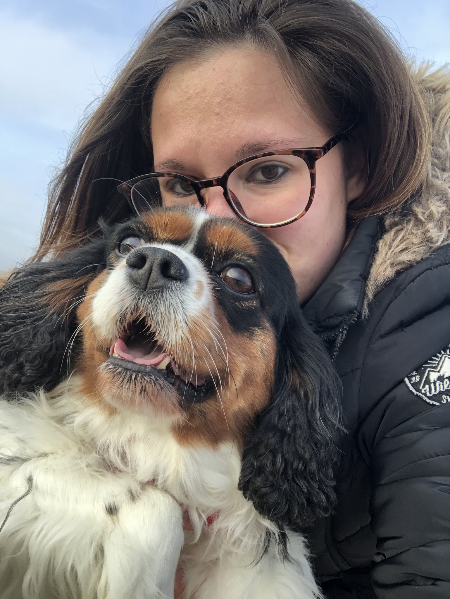 A l'Écoute Des Pattounes — photo