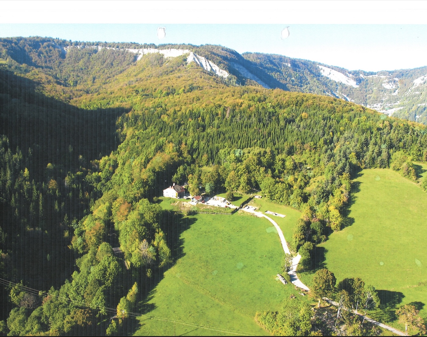Pension canine du sapin, Pension pour chien — photo