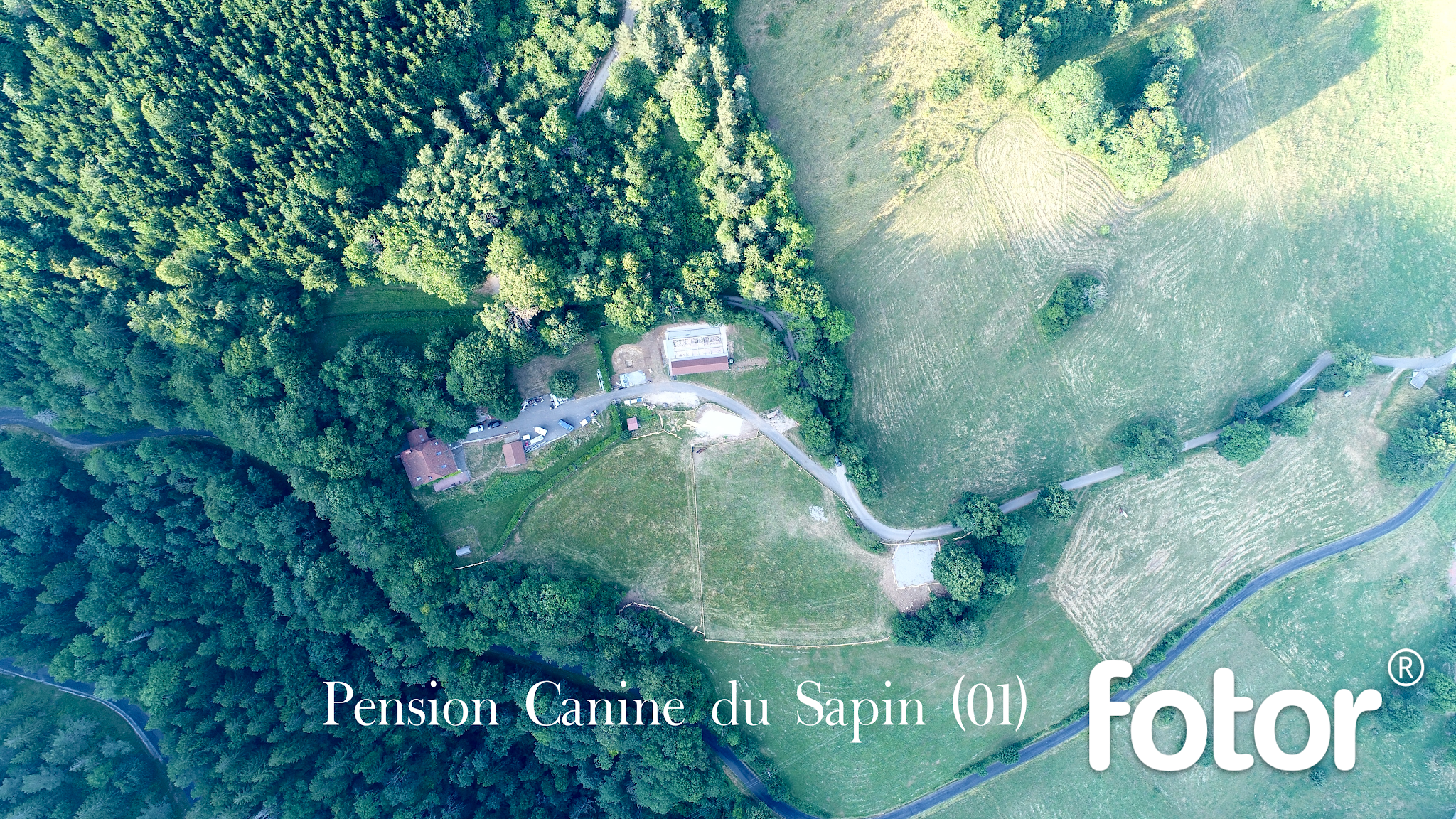 Pension canine du sapin, Pension pour chien — photo