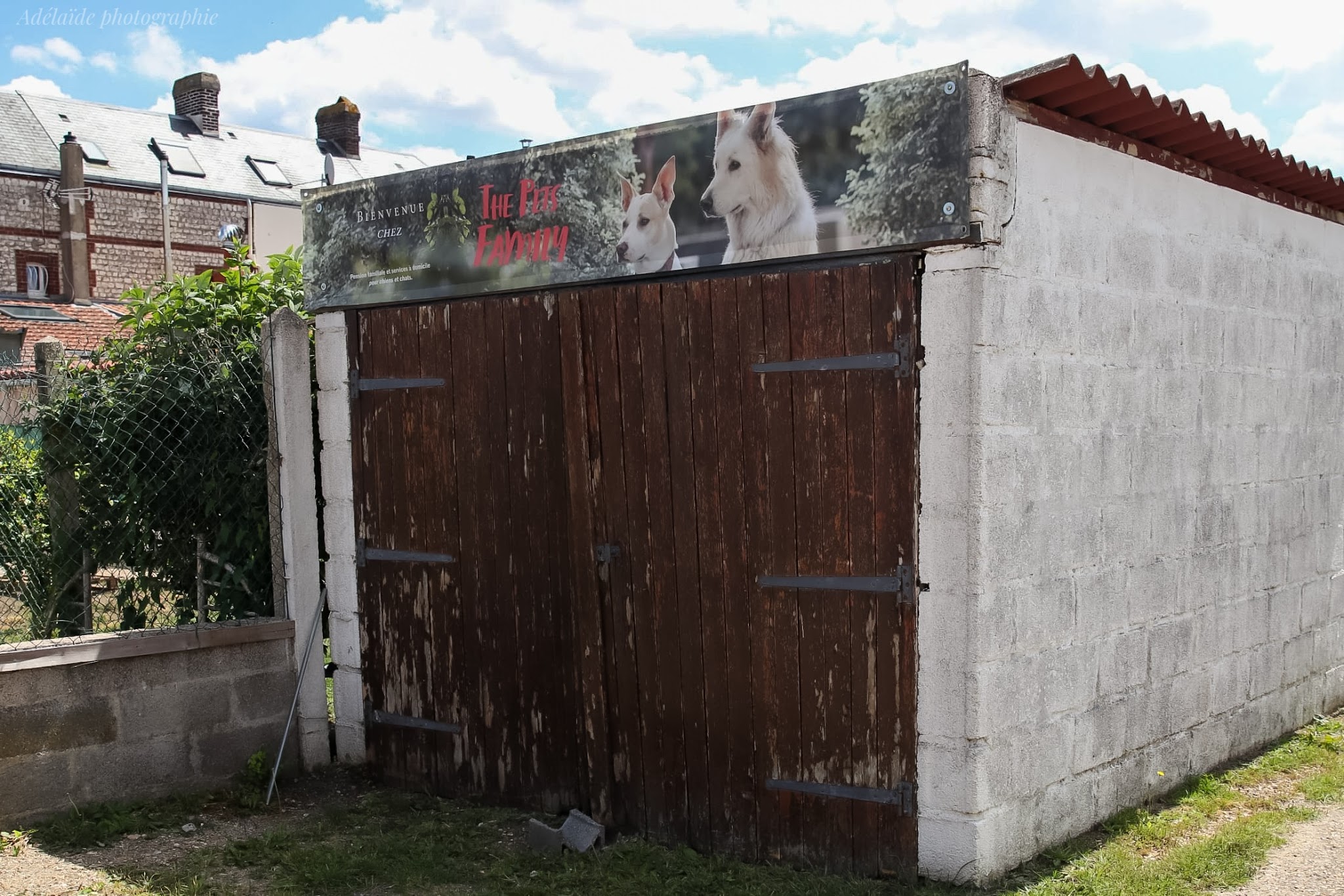 The Pets Family — photo