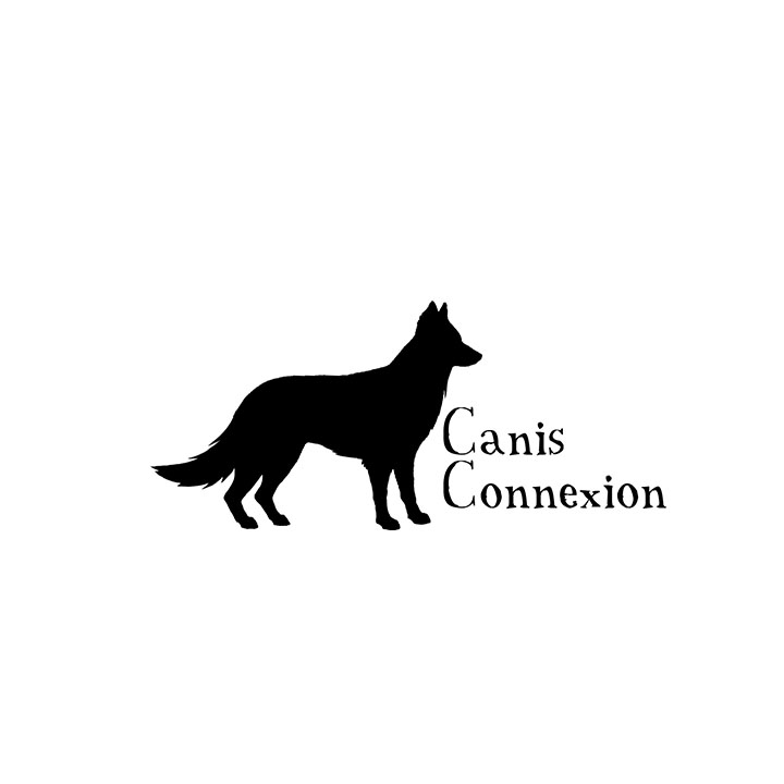 Canis Connexion — photo