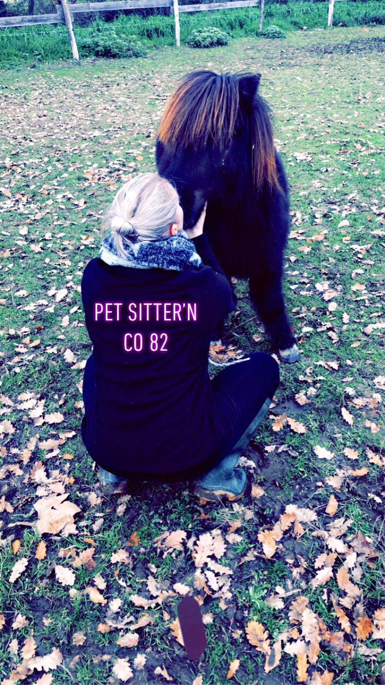 Pet sitter’ n co 82 — photo