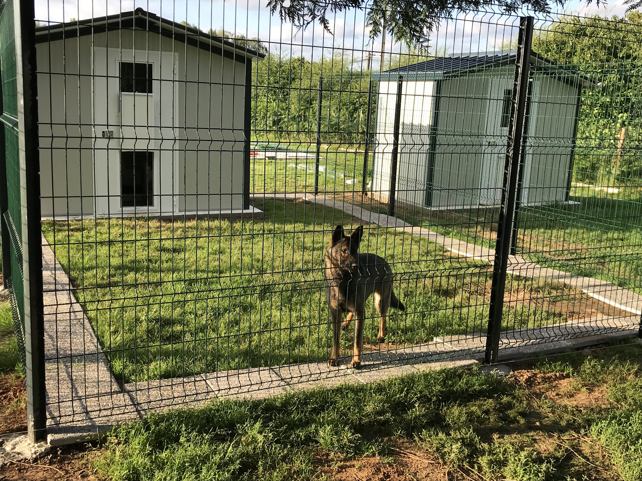 L'hôtellerie canine — photo