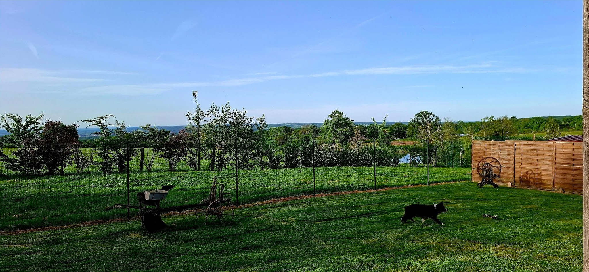 La Maison Blanche Pension — photo