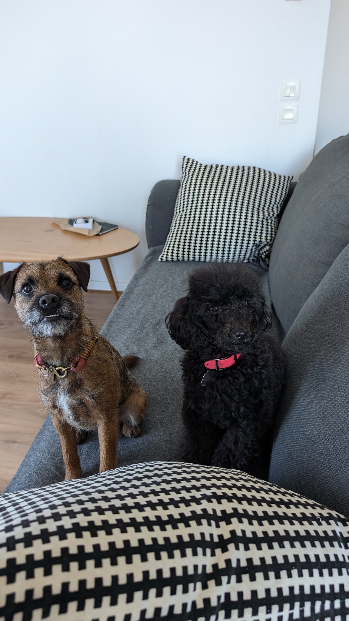 Joanne | Petsitter Patounettes et Cie — photo