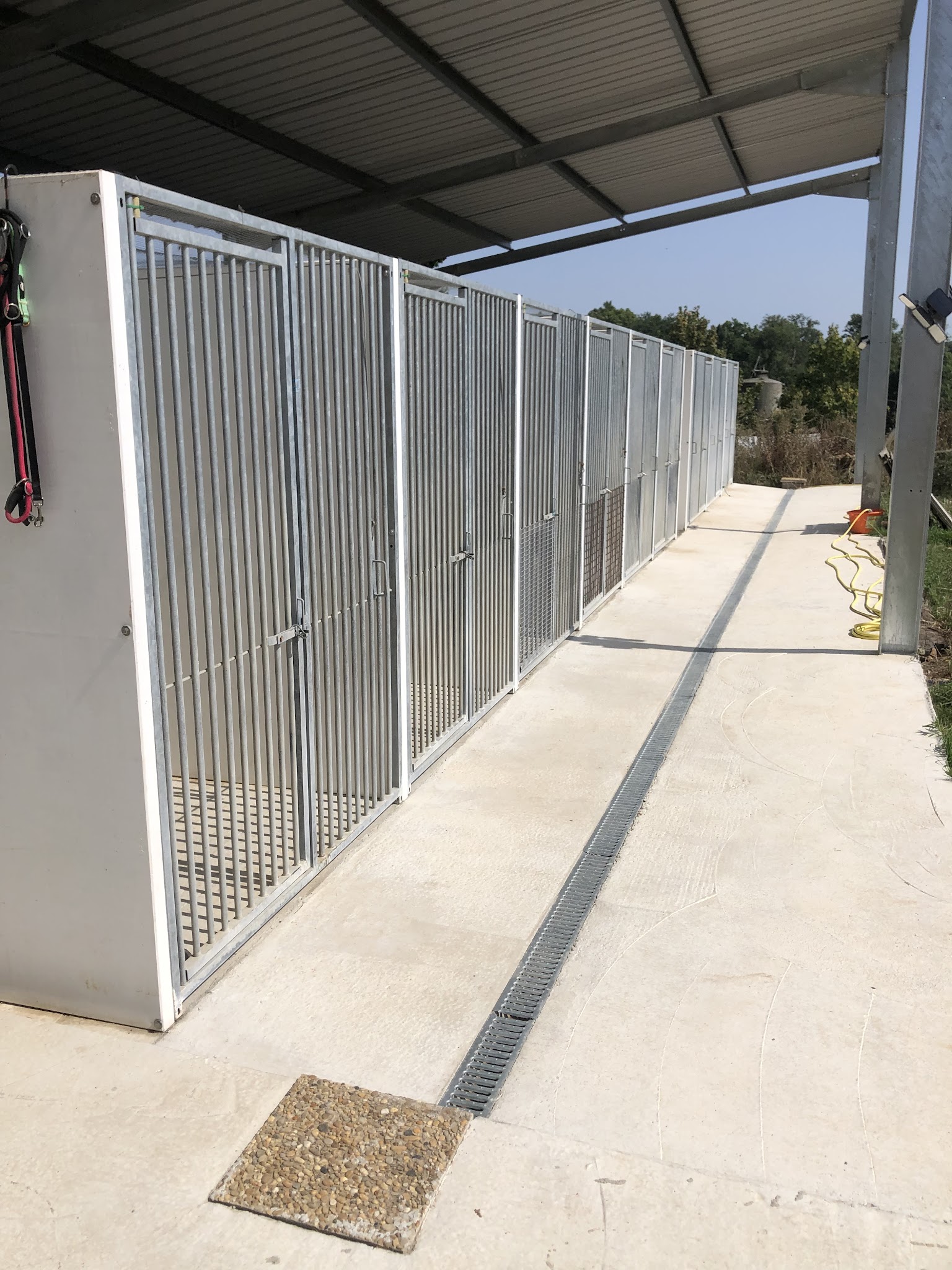 PENSION CANINE EMILIE TB — photo
