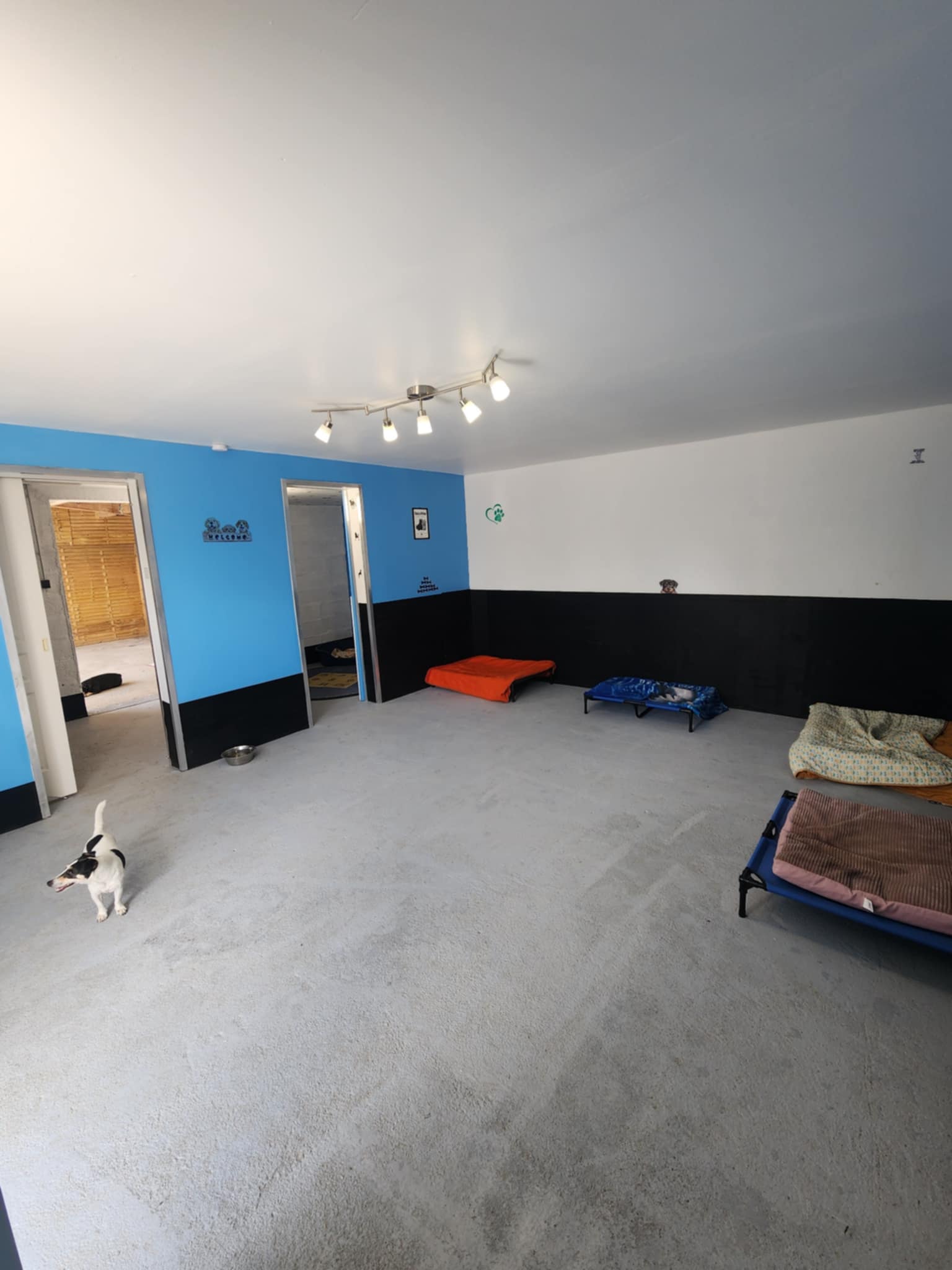 Pension canine familiale AMICANI — photo