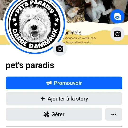 Pet's paradis — photo