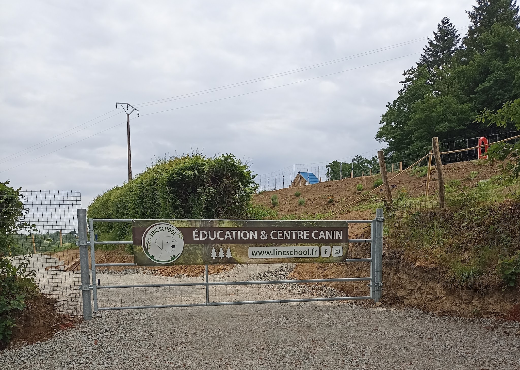 LINC School - Éducation et coaching canin — photo