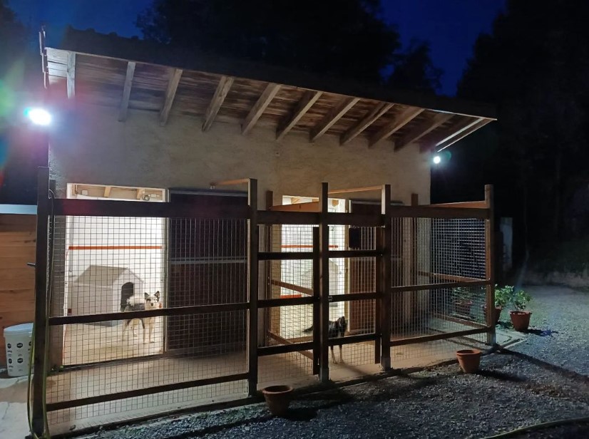 Pension Canine Meute et Merveille — photo