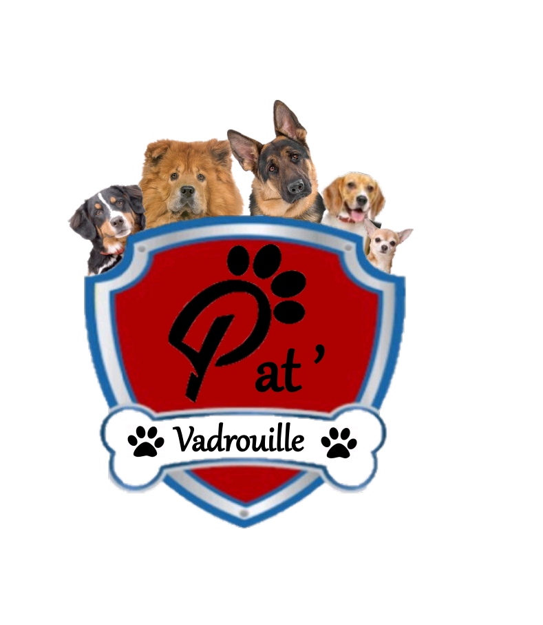 Pat'Vadrouille — photo