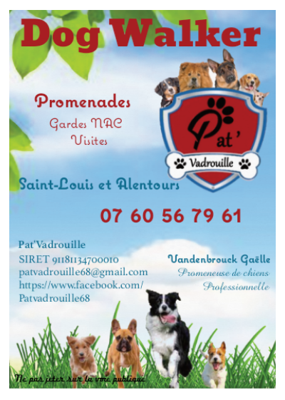 Pat'Vadrouille — photo