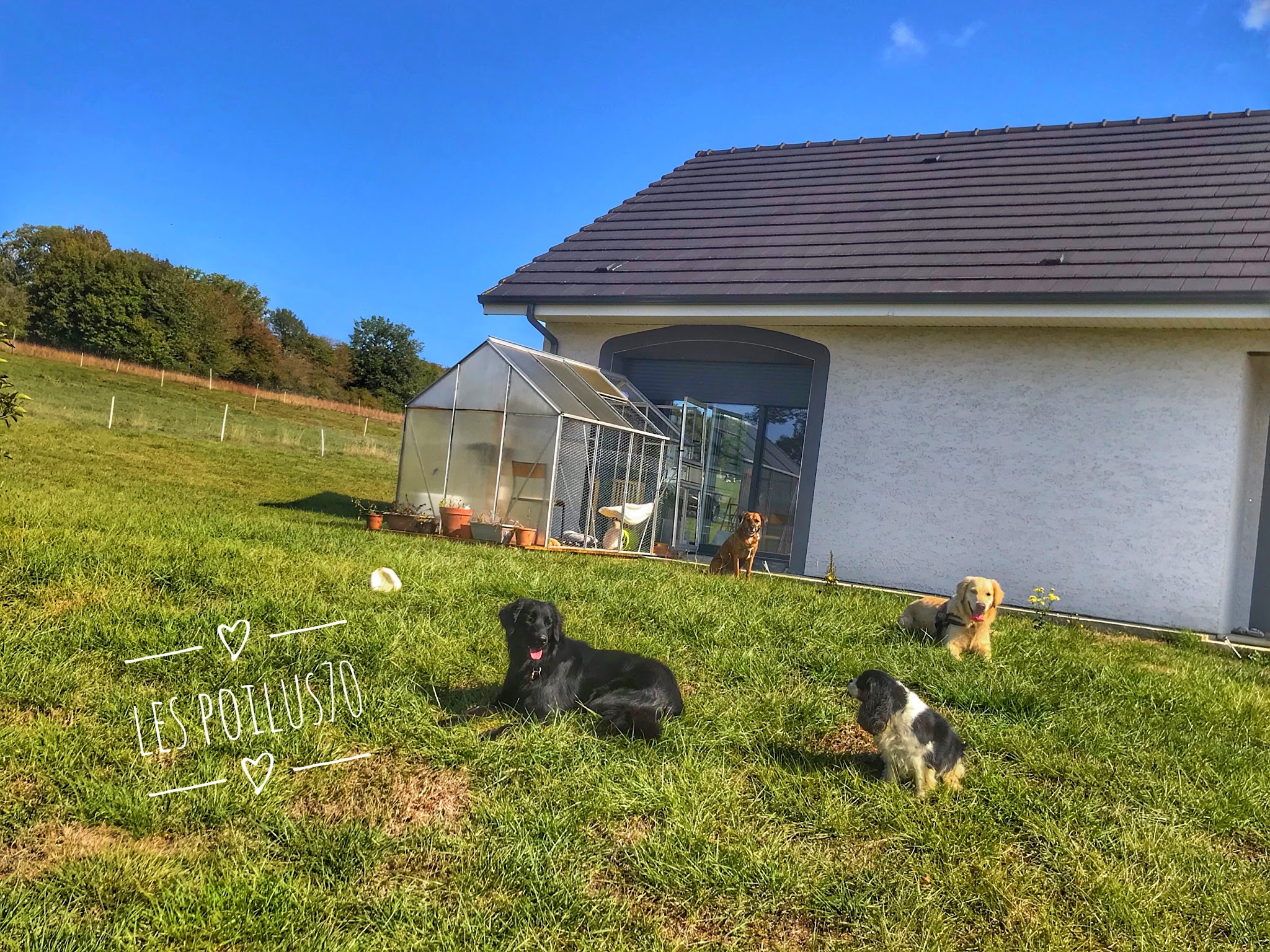 Les Poilus 70 GARDE ANIMAUX/PENSION CHIEN CHAT NAC Jessica&Jérôme