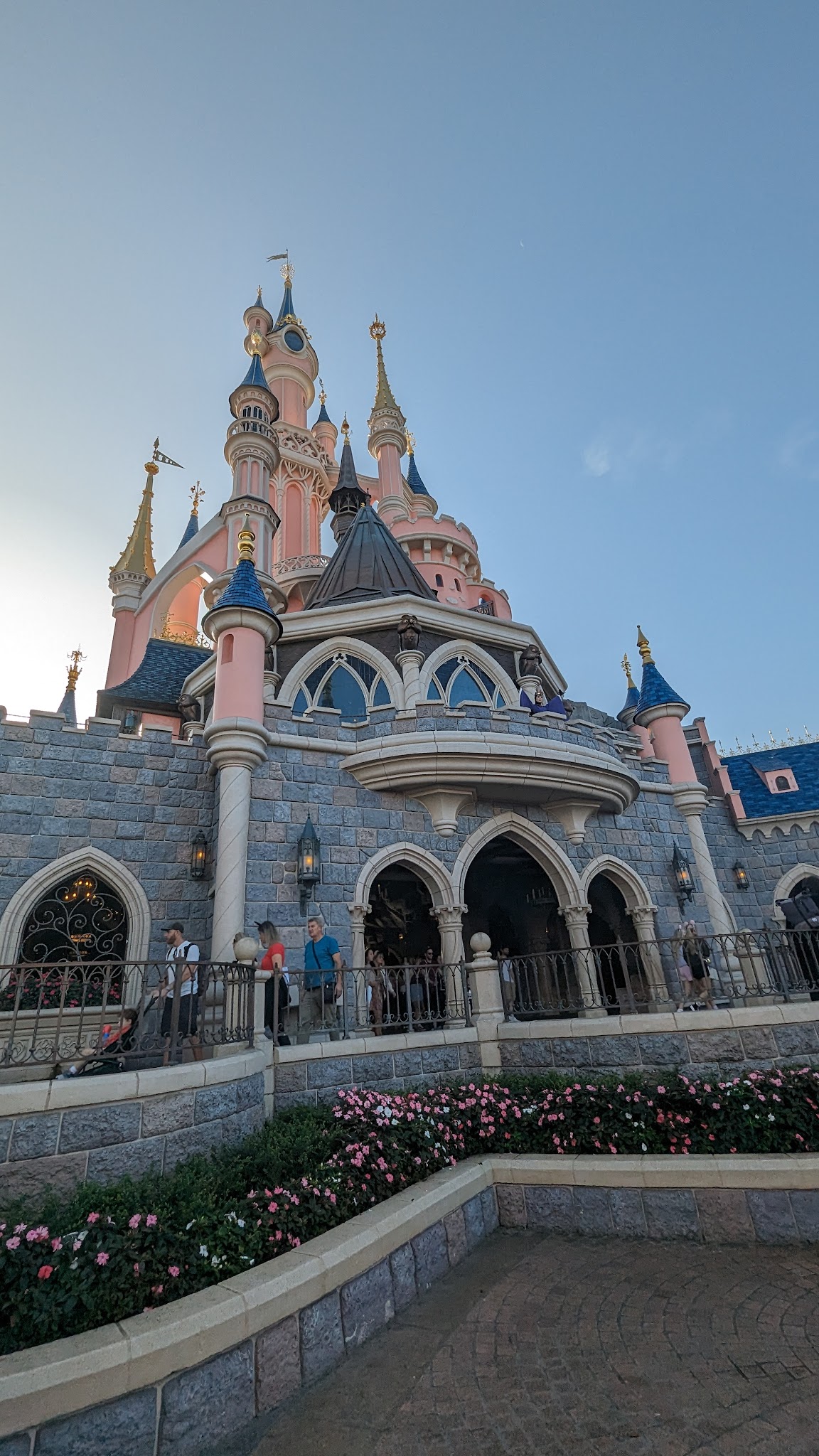 Accueil Animaux Disneyland Paris — photo