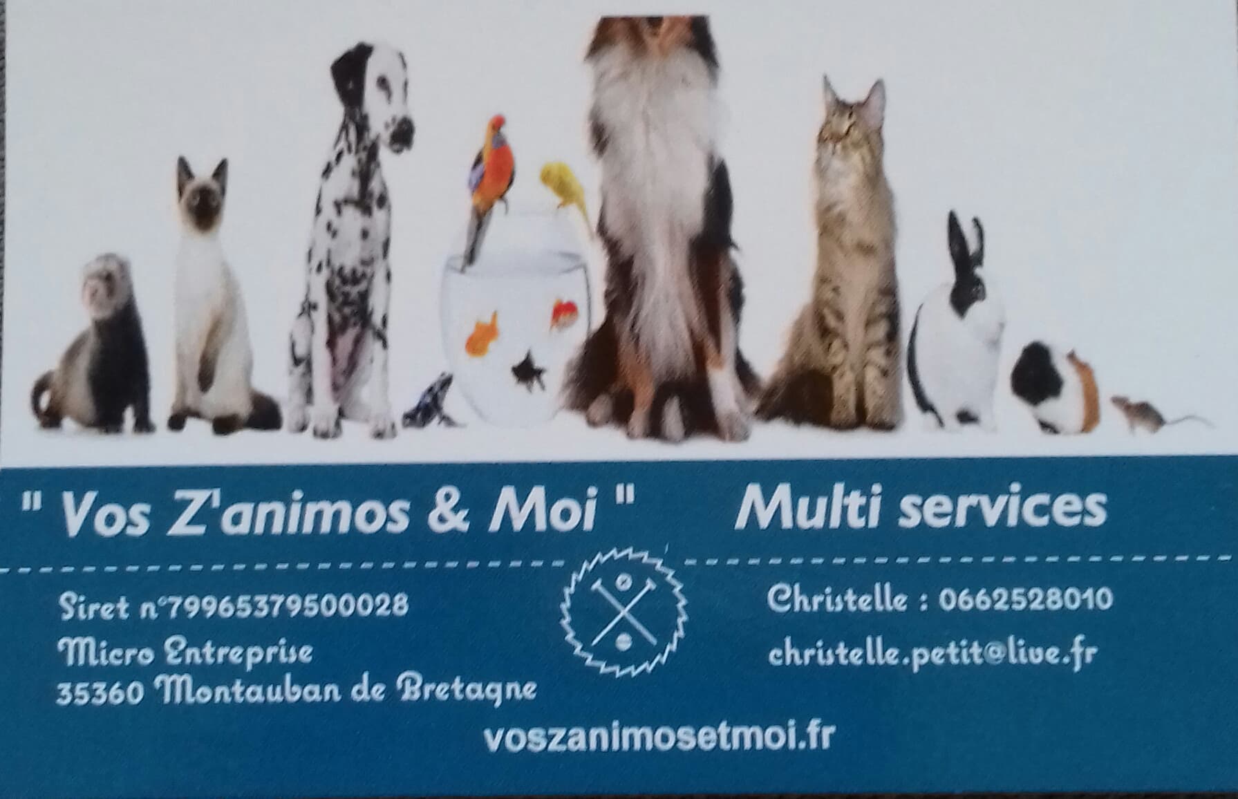 Vos Z'animos & Moi — photo
