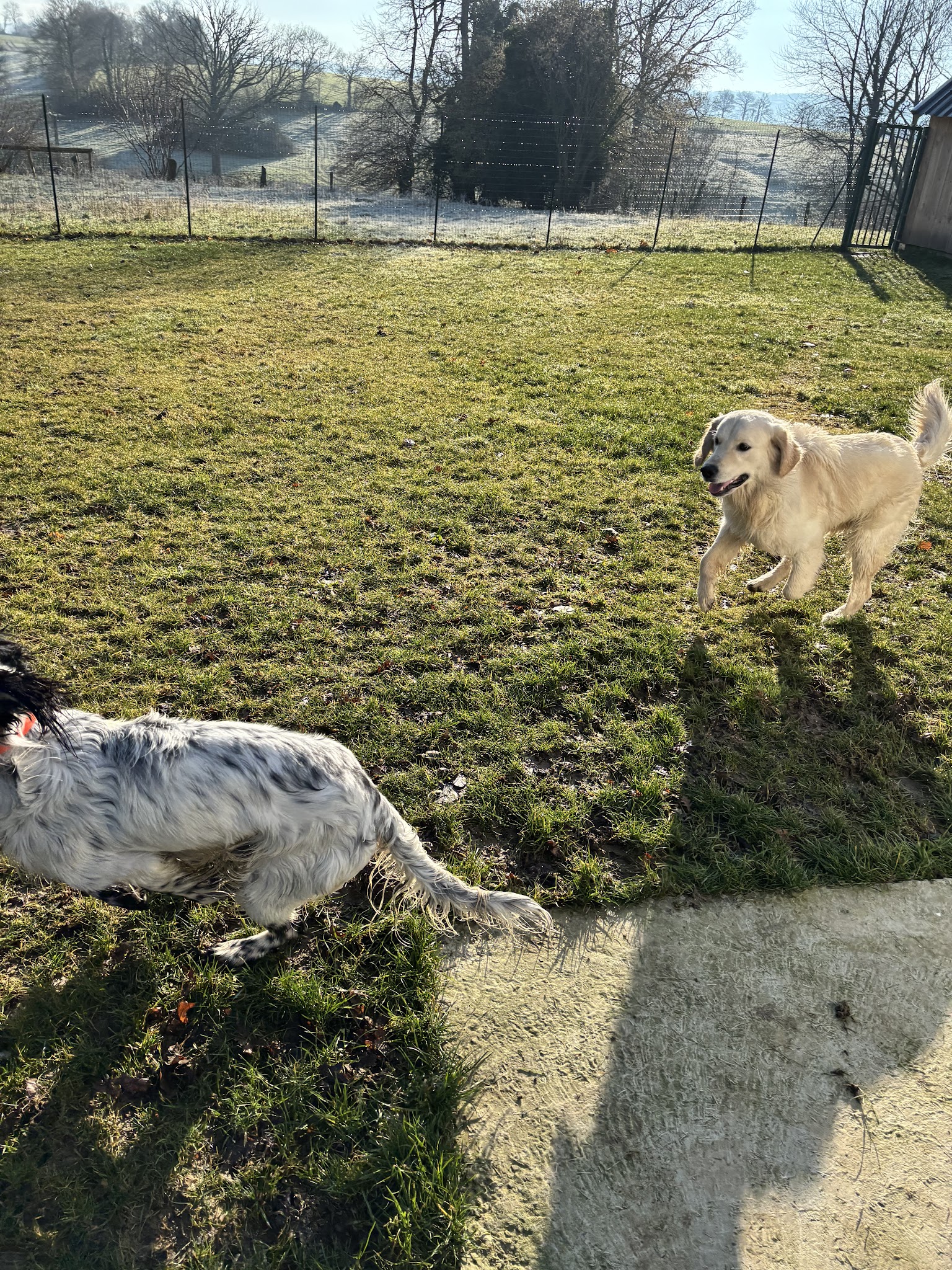 Pension pour chien du Centre canin des Vallons de la Sée — photo