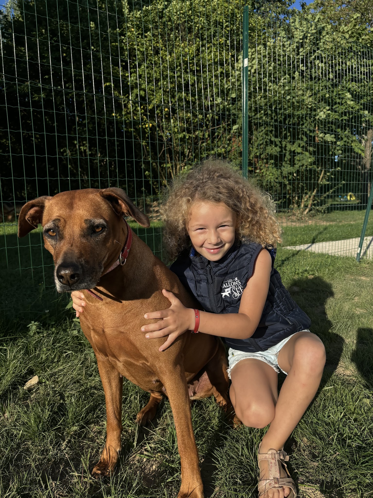Pension pour chien du Centre canin des Vallons de la Sée — photo