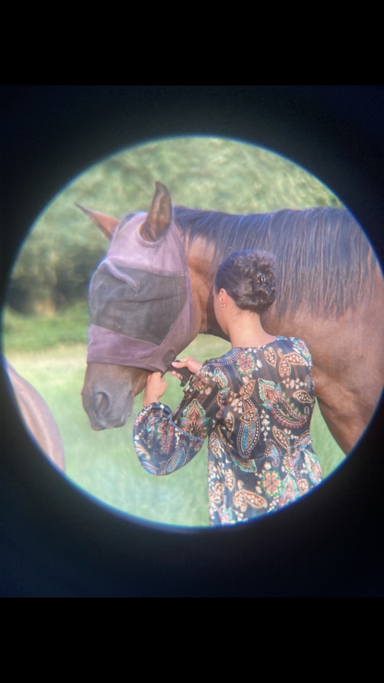 CAVAL' OR — photo