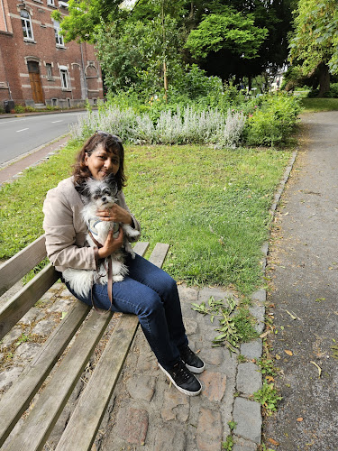 Bibicats&Co (pet sitter)