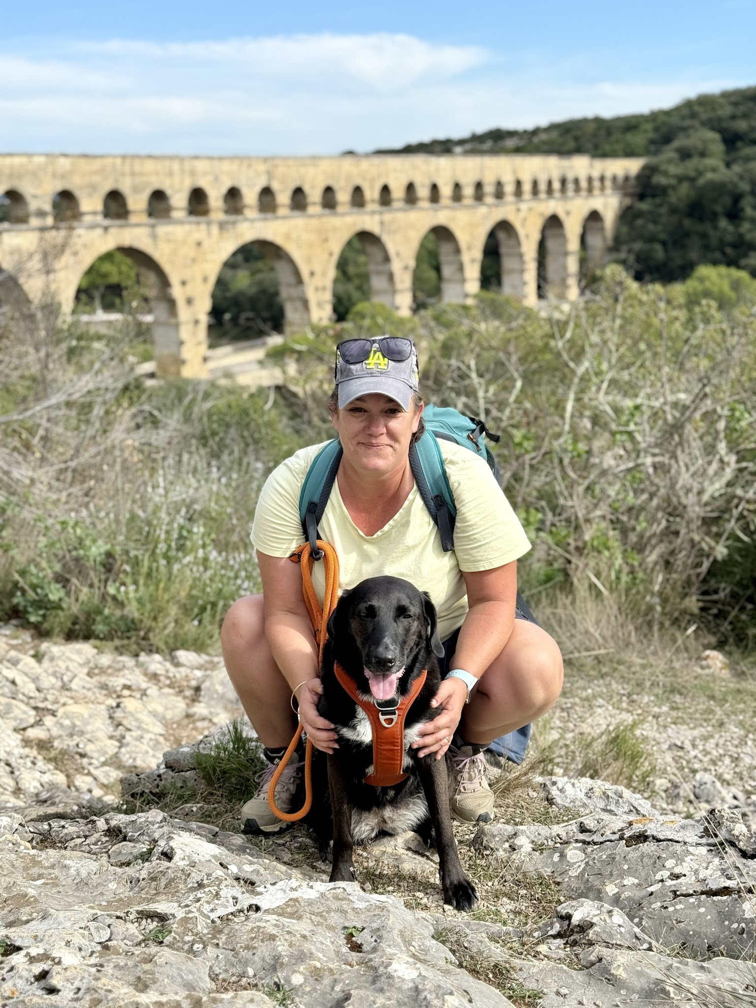 Emi Dog Sitter — photo