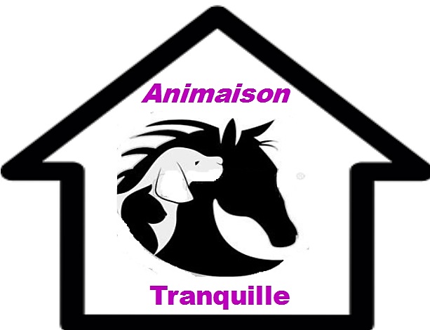 animaison tranquille — photo
