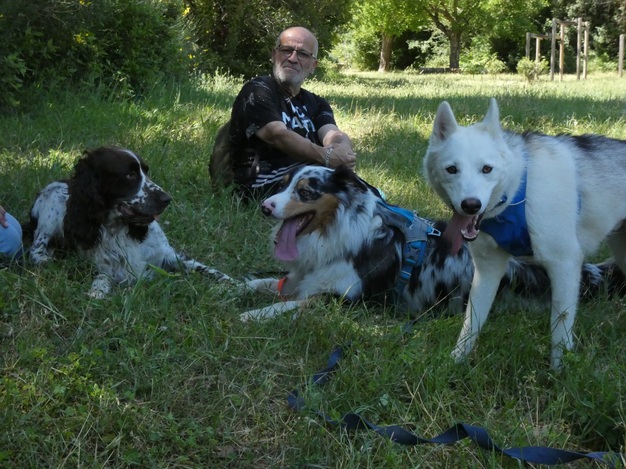 Cani Be Happy — photo