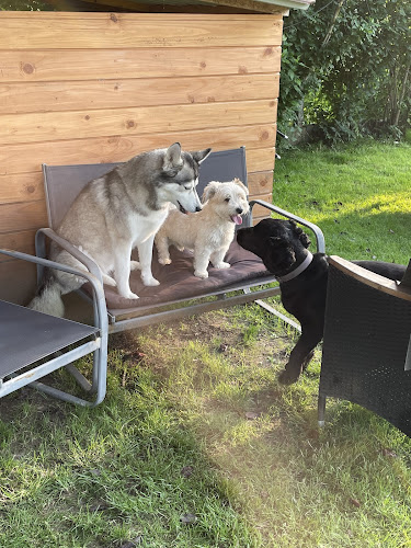 Pension Galland ( pension chiens, chats, NAC )