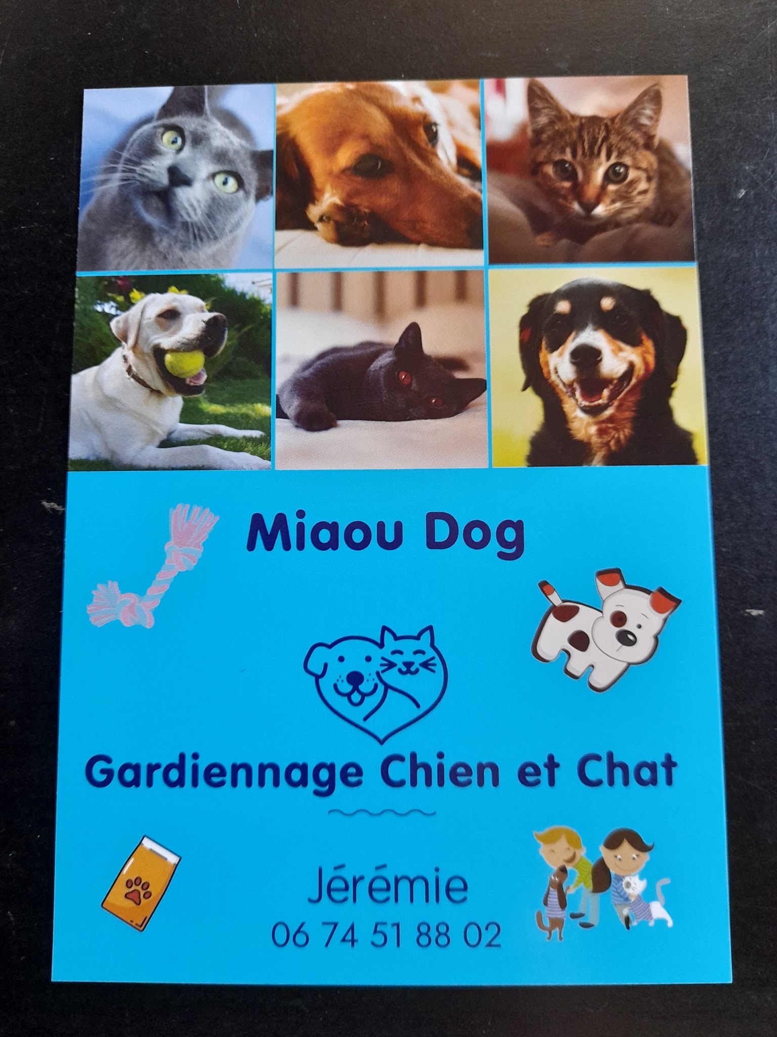 Miaou Dog