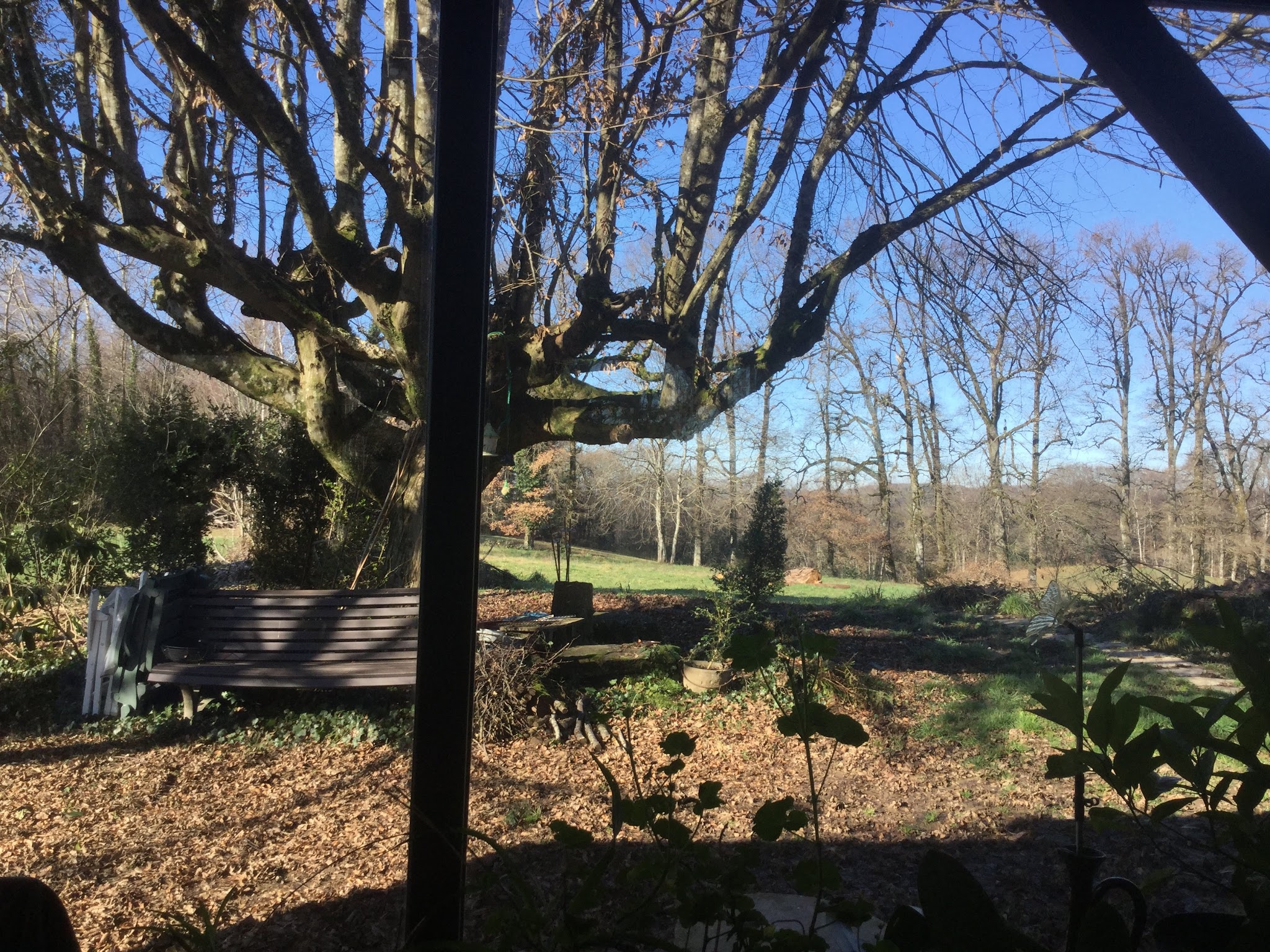 La Borie des 4 pattes — photo