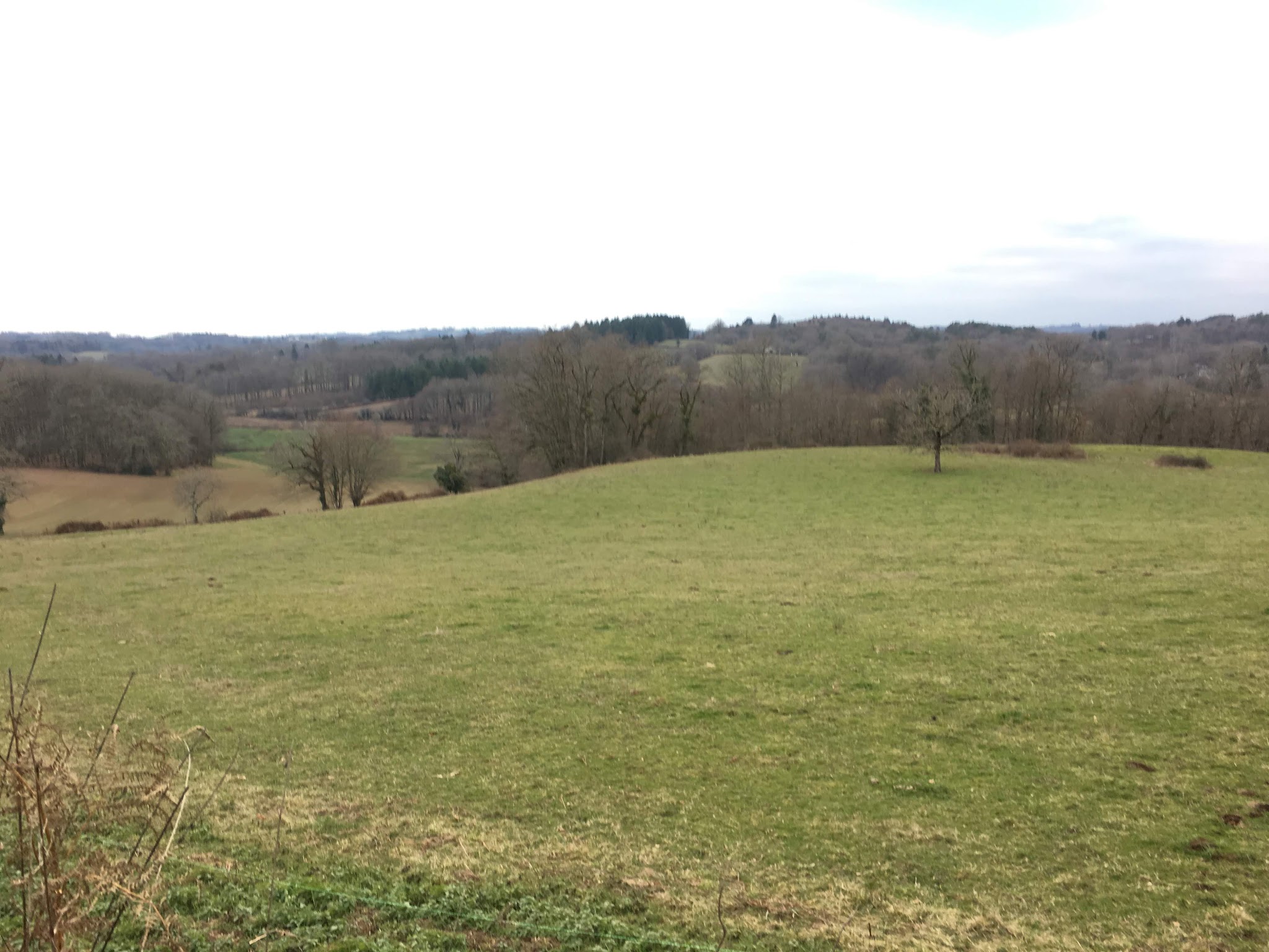 La Borie des 4 pattes — photo