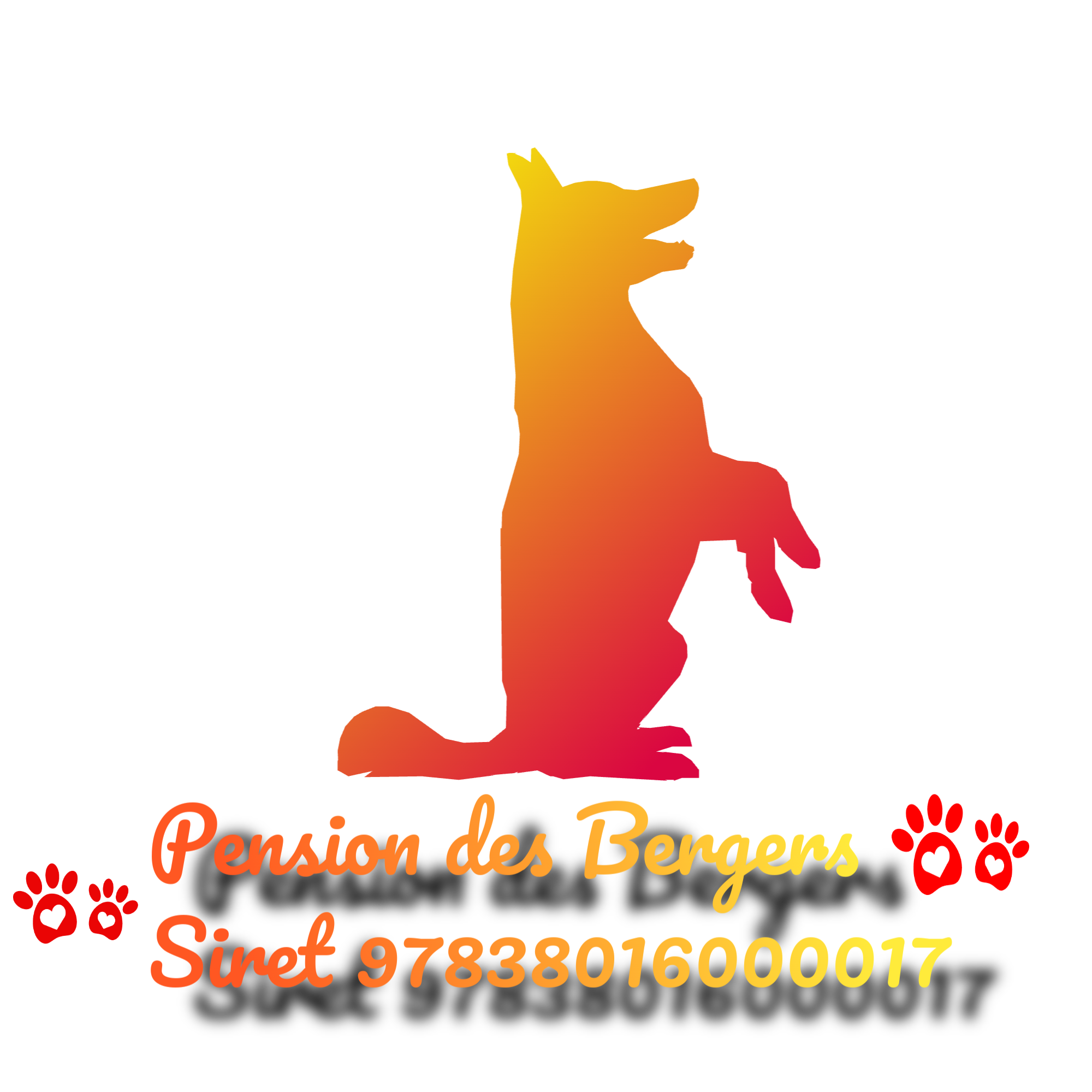 Pension des Bergers — photo